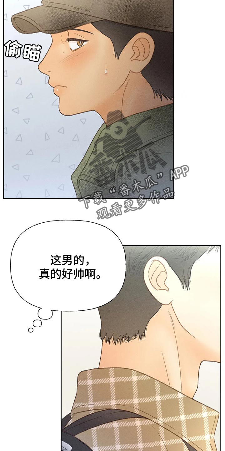 秋牡丹耐晒吗漫画,第47章：还书2图