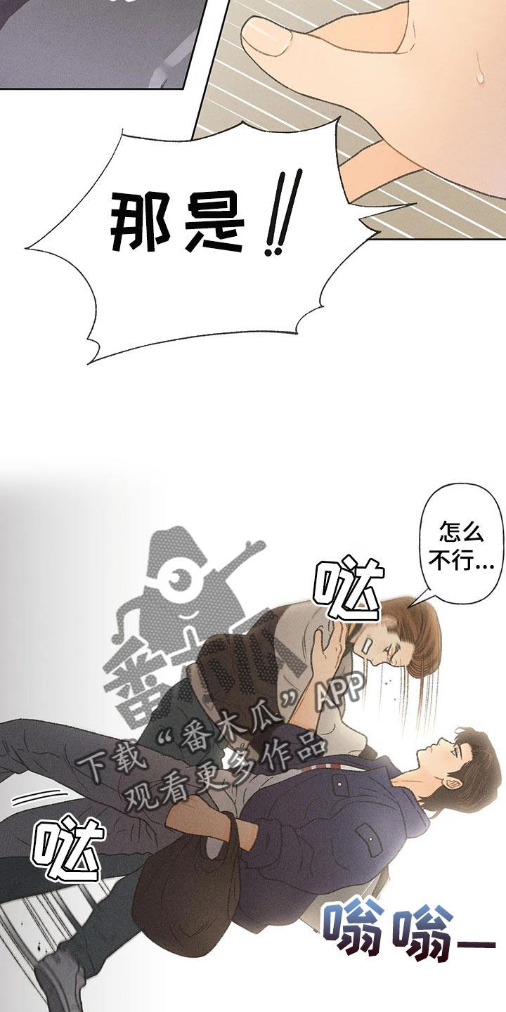 秋牡丹的特点漫画,第27章：路过的市民2图