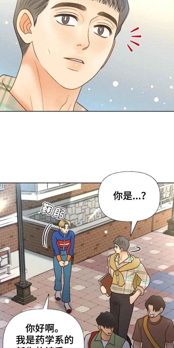 秋牡丹植物的叶子漫画,第83章：【第二季】到底去哪了1图