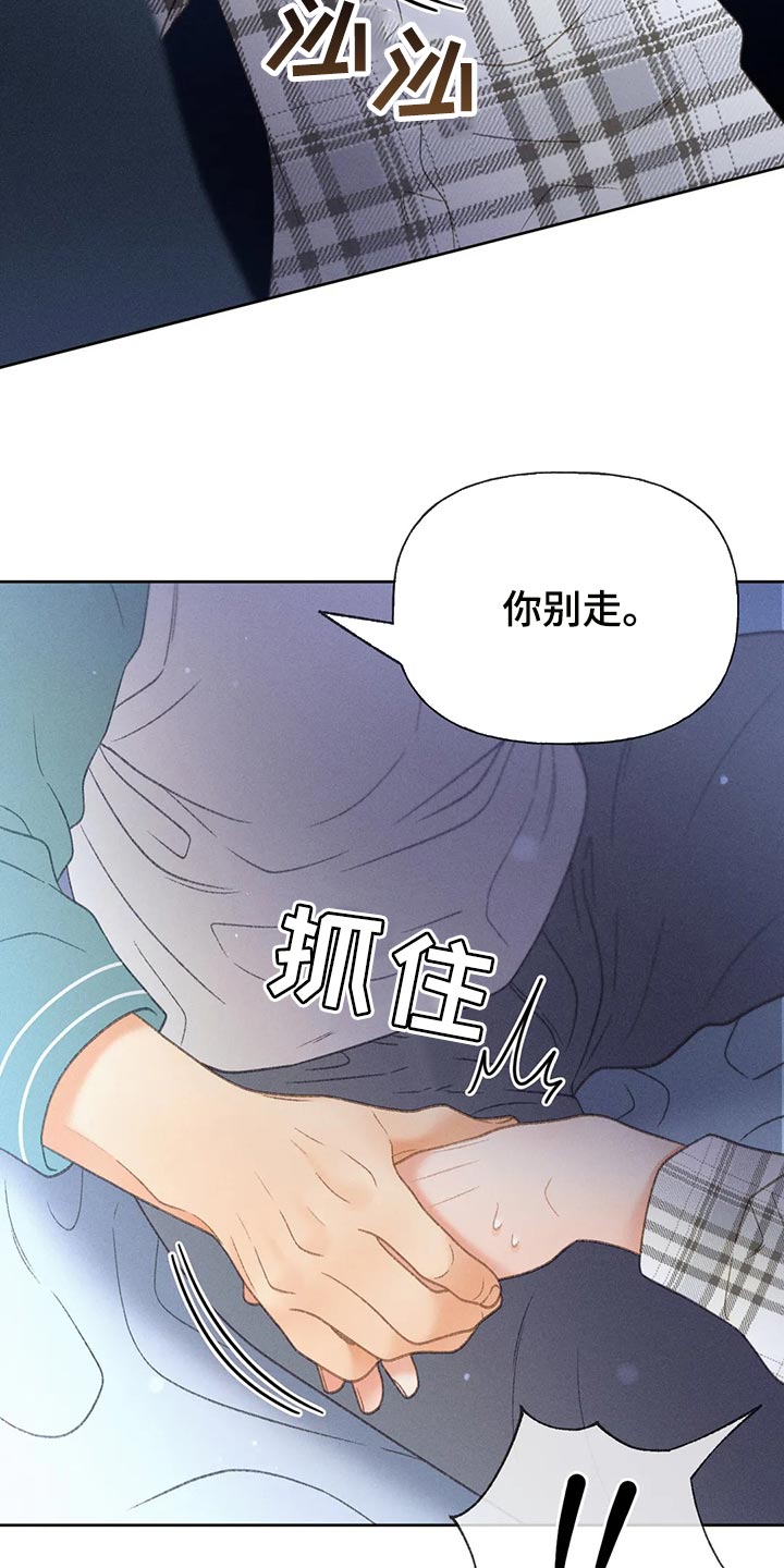 秋牡丹盆景漫画,第62章：【第二季】告白2图