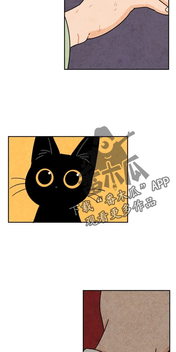 金福的猕猴桃漫画,第54章：原因2图