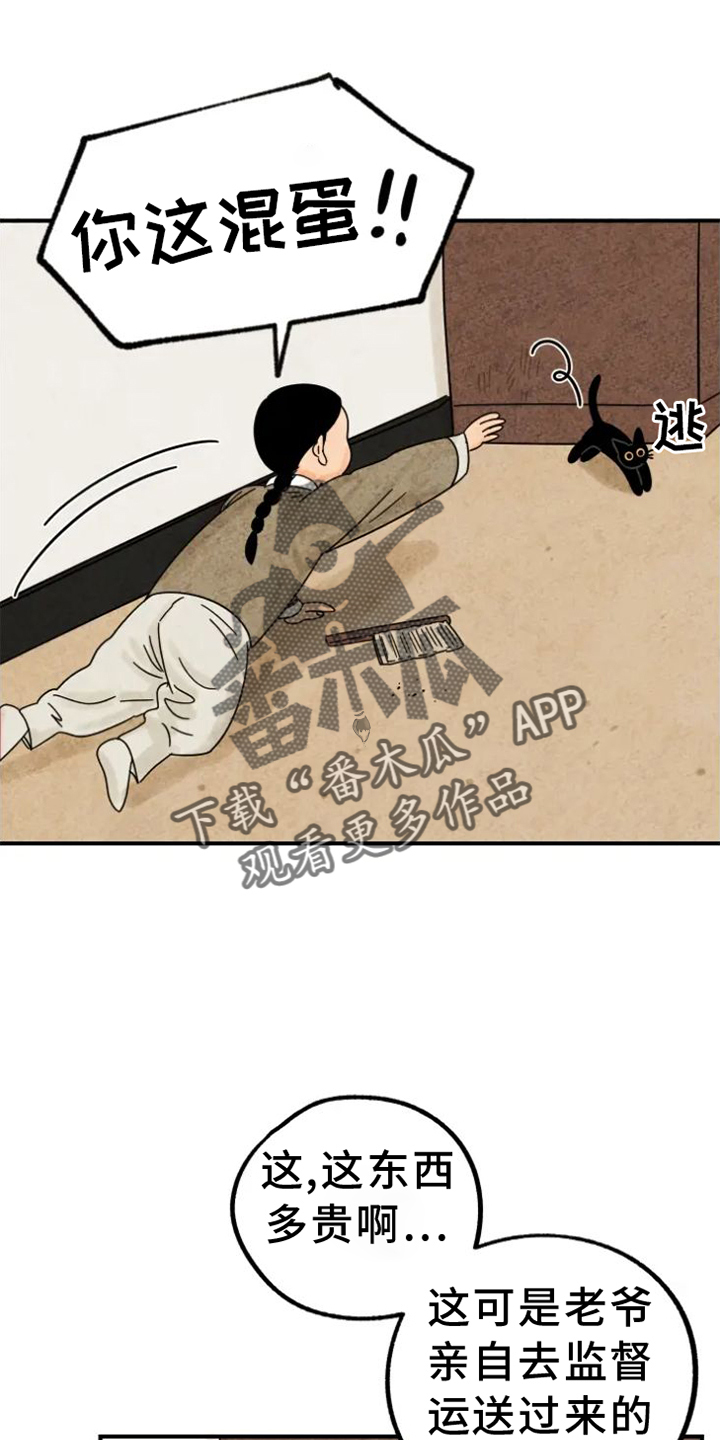 金福的故事93漫画,第39章：猫抓板2图