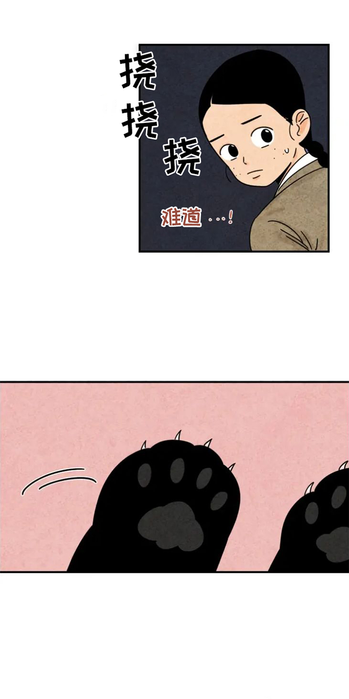 金福的意思是什么漫画,第39章：猫抓板1图