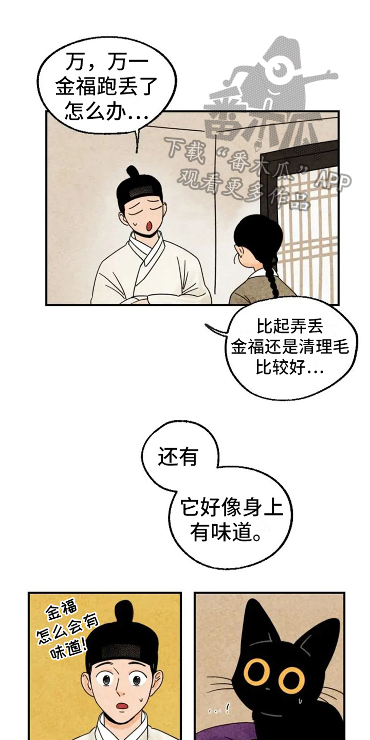 金福南事件真实故事漫画,第15章：脏猫1图