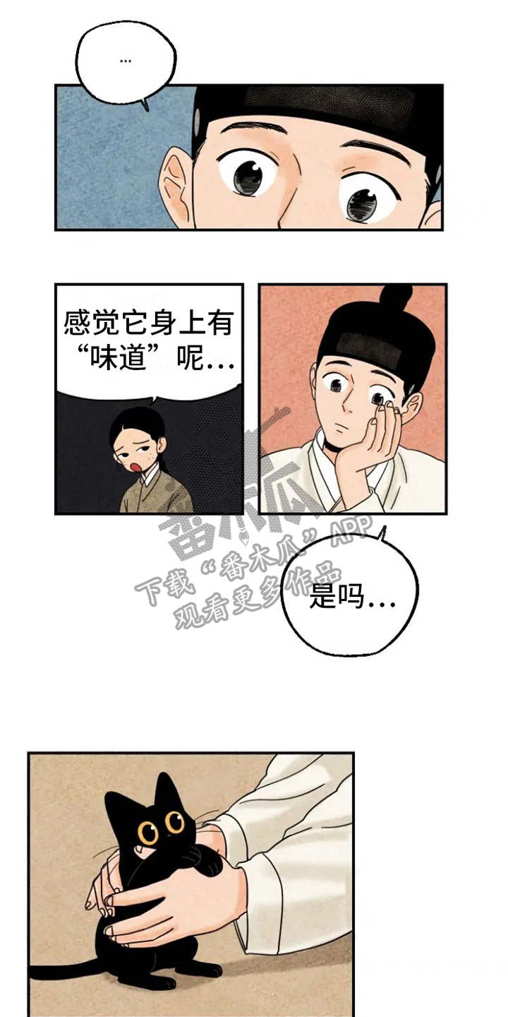 金福的故事哪里看漫画,第15章：脏猫1图