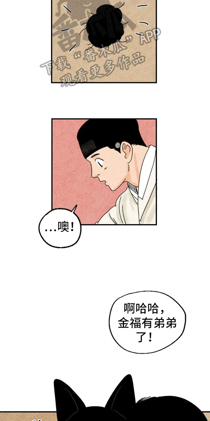 金福的故事哪里看漫画,第15章：脏猫1图