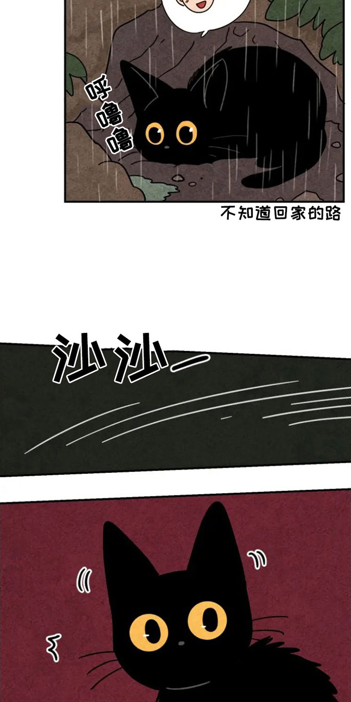 金福是什么意思?漫画,第22章：晕倒2图