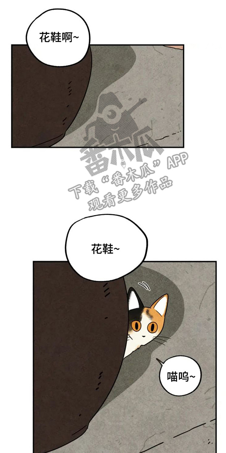 金福的解释漫画,第32章：花猫一家2图