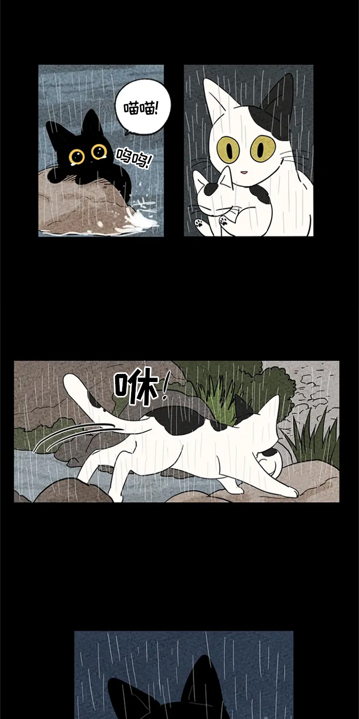 金福与瑞玉猕猴桃哪个品种更好漫画,第4章：感化2图