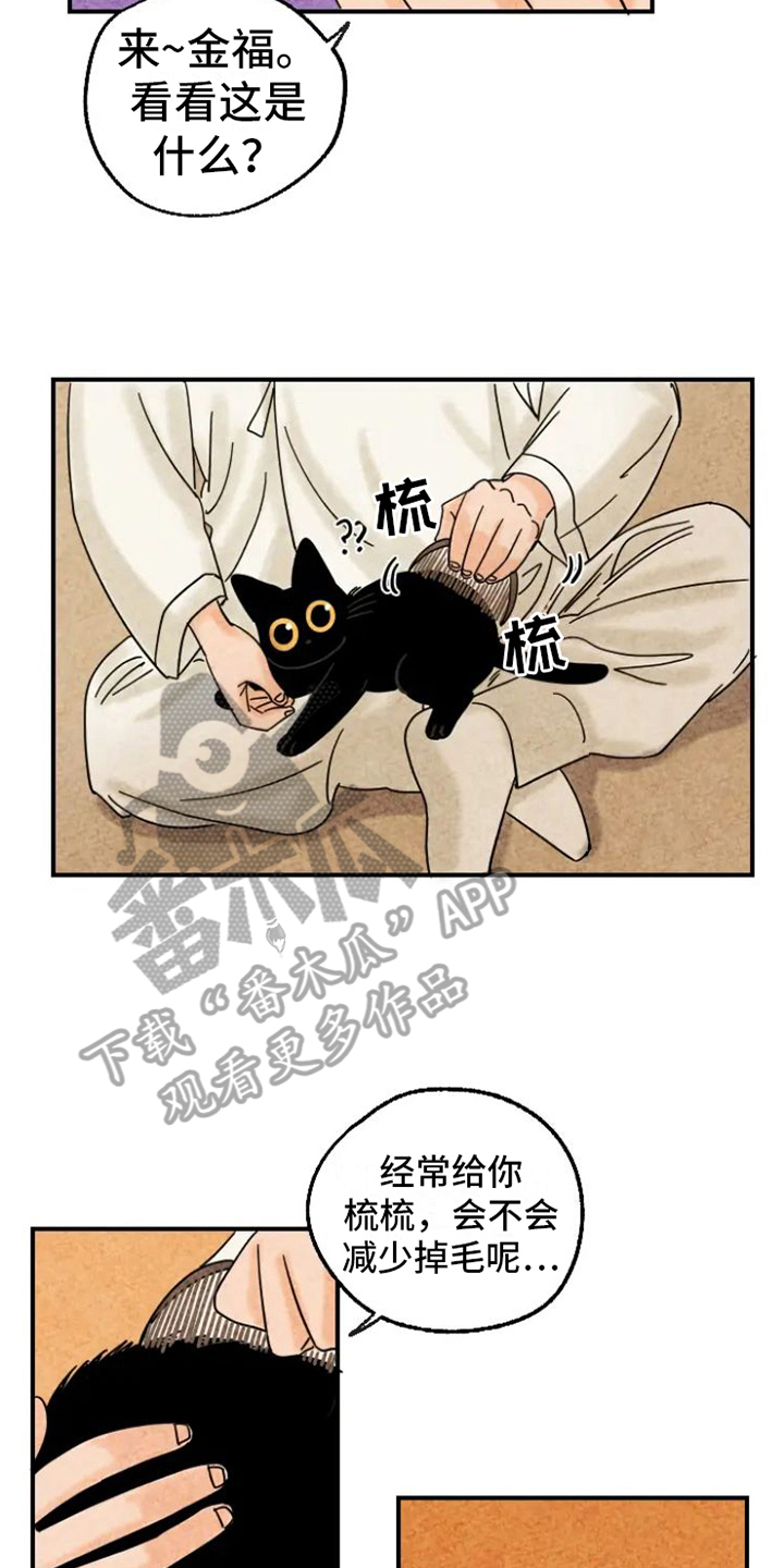 金福漫画,第15章：脏猫1图