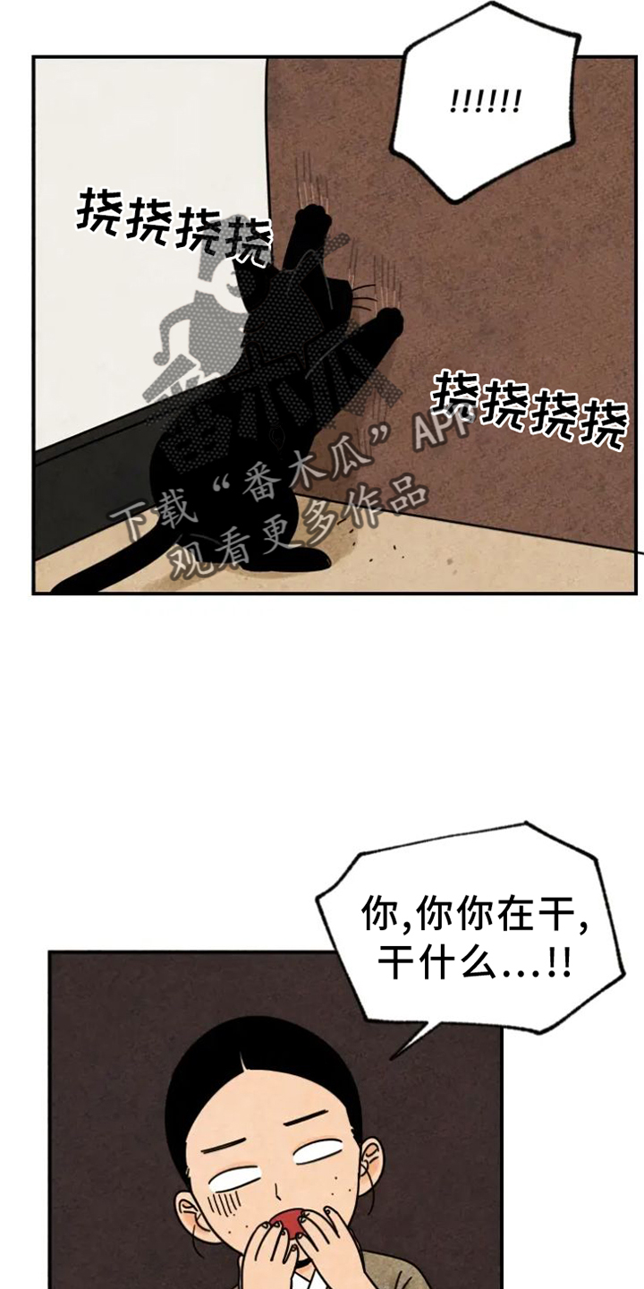 金福的意思是什么漫画,第39章：猫抓板2图