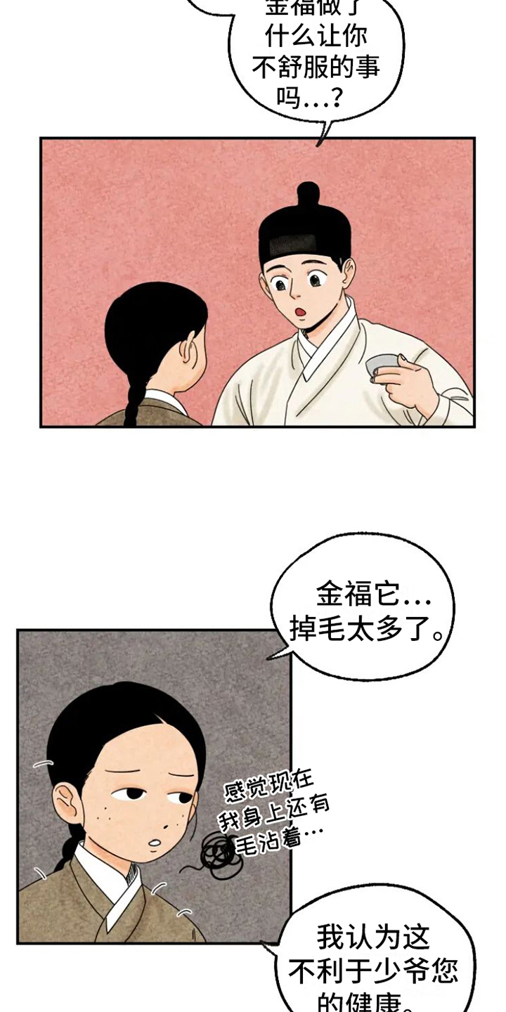 金福来源漫画,第14章：掉毛2图