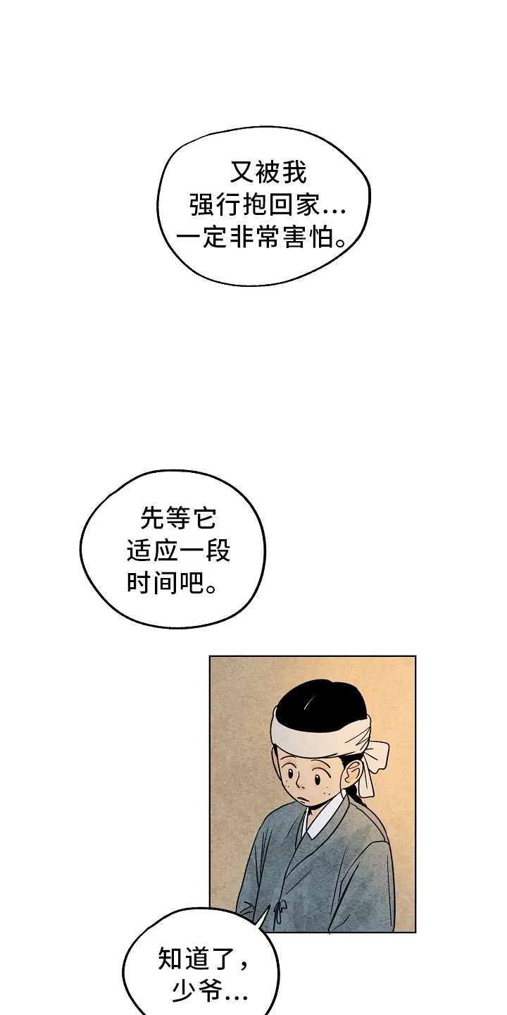 金福的故事漫画多少章漫画,第2章：收养2图