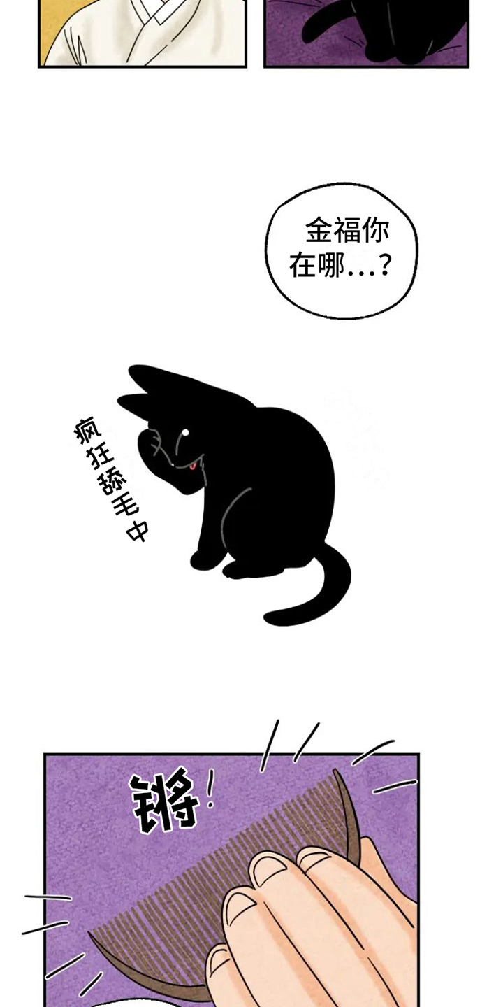 金福的故事 漫画漫画,第15章：脏猫2图