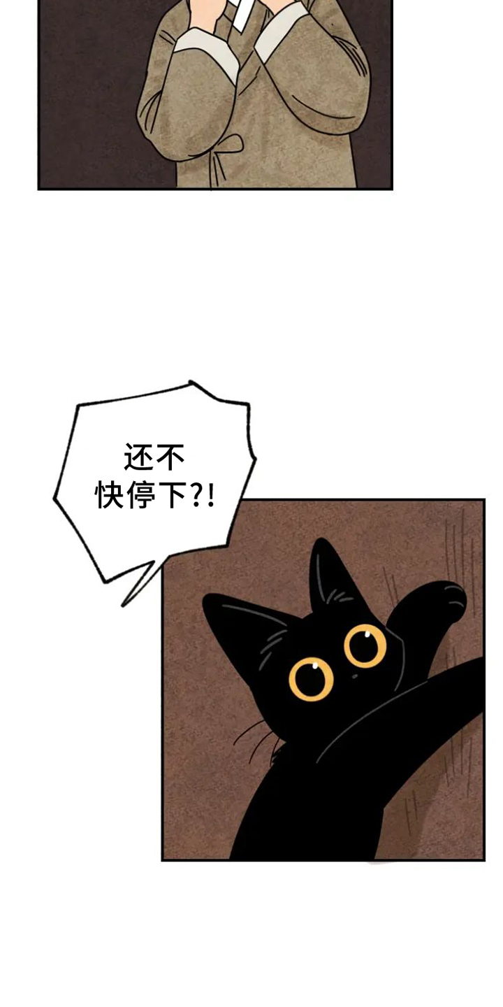 金福的故事93漫画,第39章：猫抓板1图