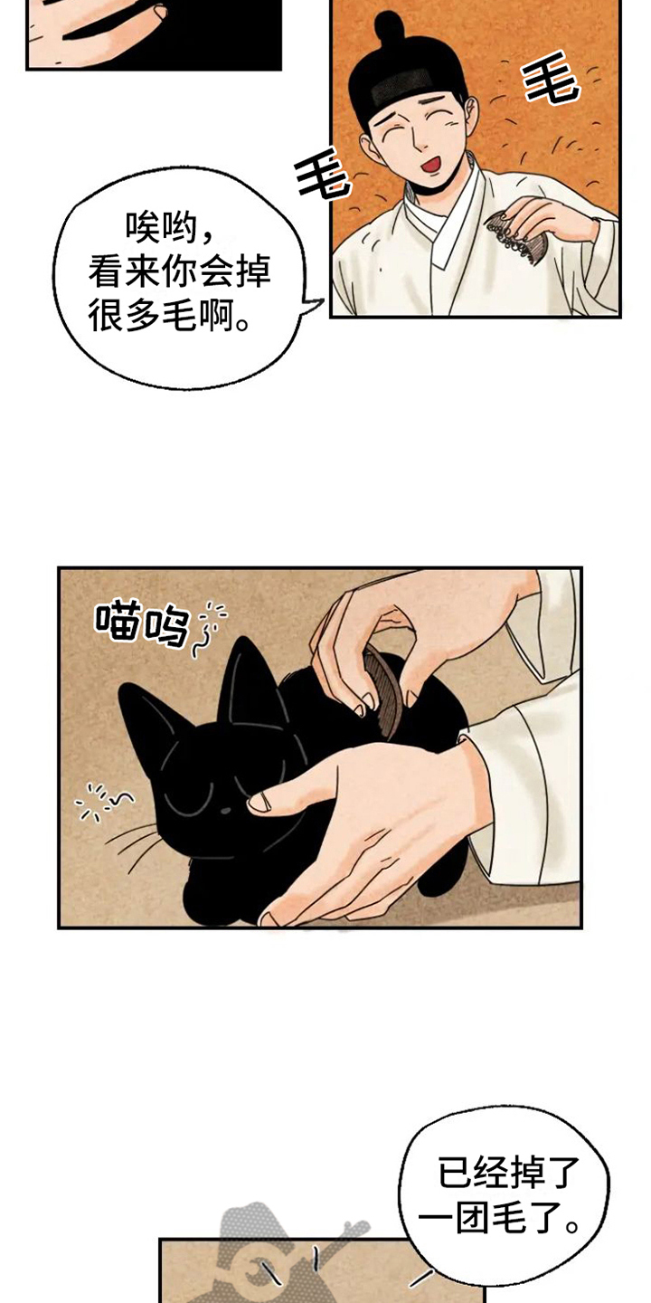 金福的故事漫画漫画,第15章：脏猫2图