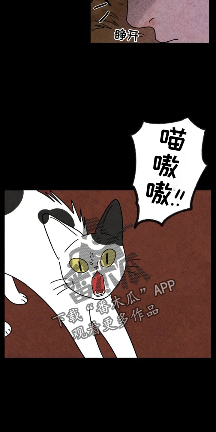 金福源珠宝是正品吗漫画,第35章：羡慕2图