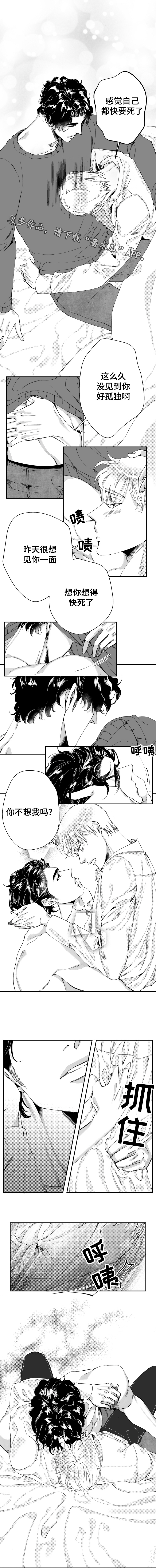 诺亚笔记漫画,第45章：我很幸福（完结）1图