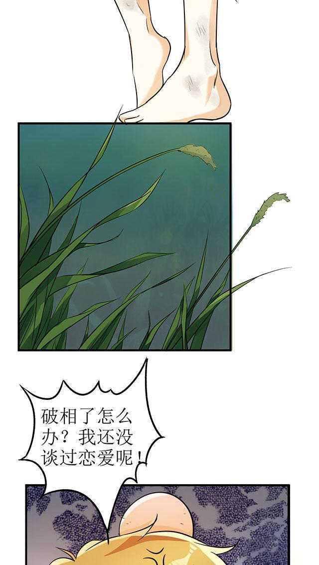 见习小厨神视频漫画,第10话2图