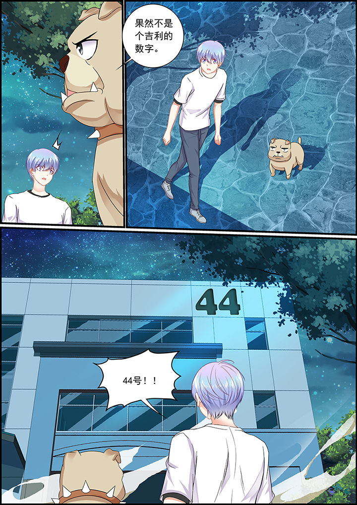不良天神漫画,第51章：1图