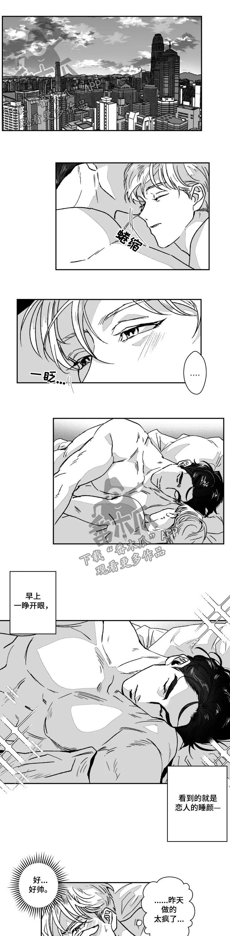 挣脱黑暗的落寞张韶涵漫画,第61章：新婚的感觉1图