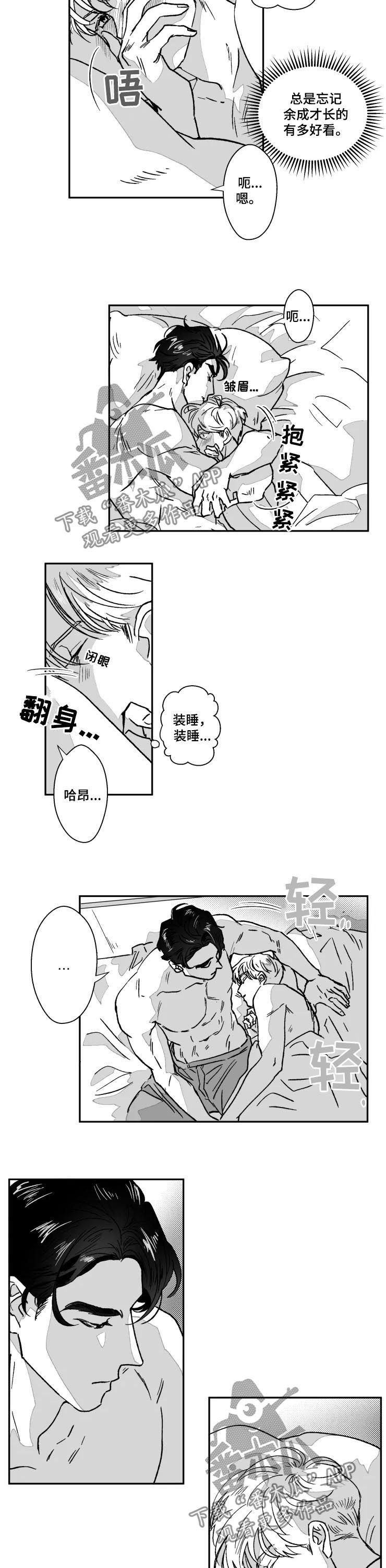 挣脱黑暗的落寞张韶涵漫画,第61章：新婚的感觉2图