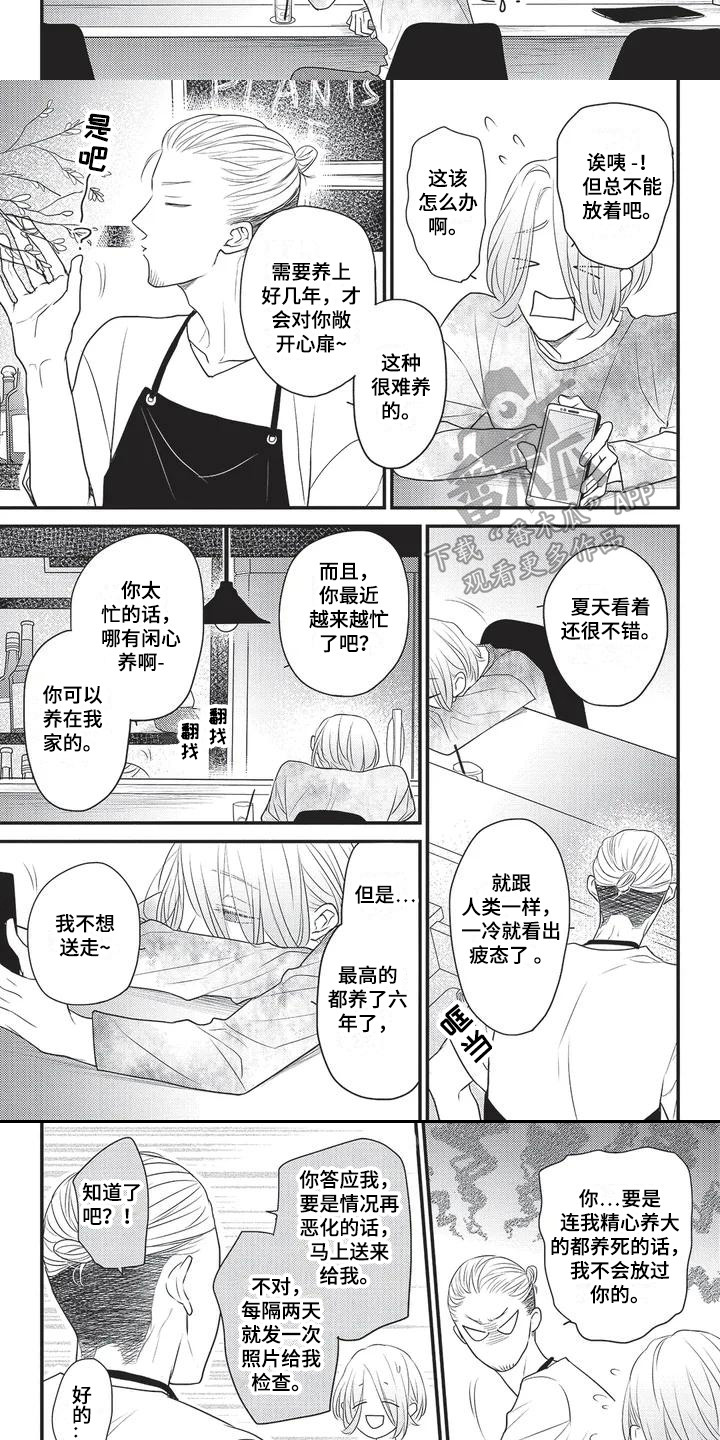 一拍即合失踪的女儿漫画,第5章：触动心扉 2图