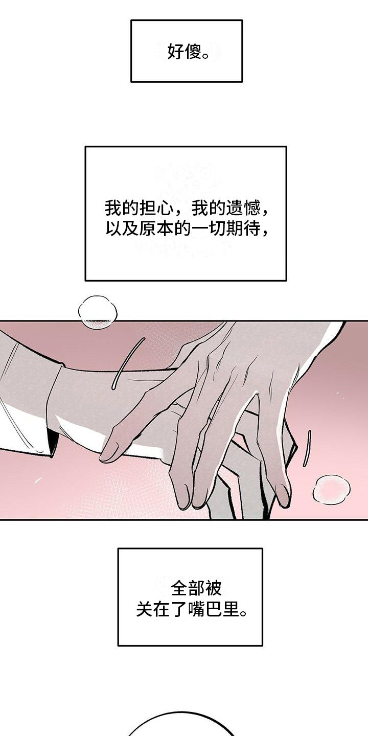 1866年的海怪之谜照片漫画,第2章：打算1图