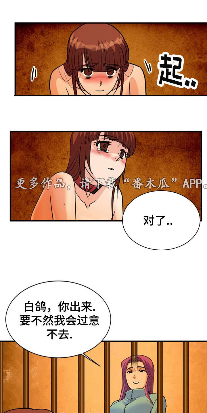 孤岛惊魂游戏到底讲的是什么漫画,第24章：建议1图