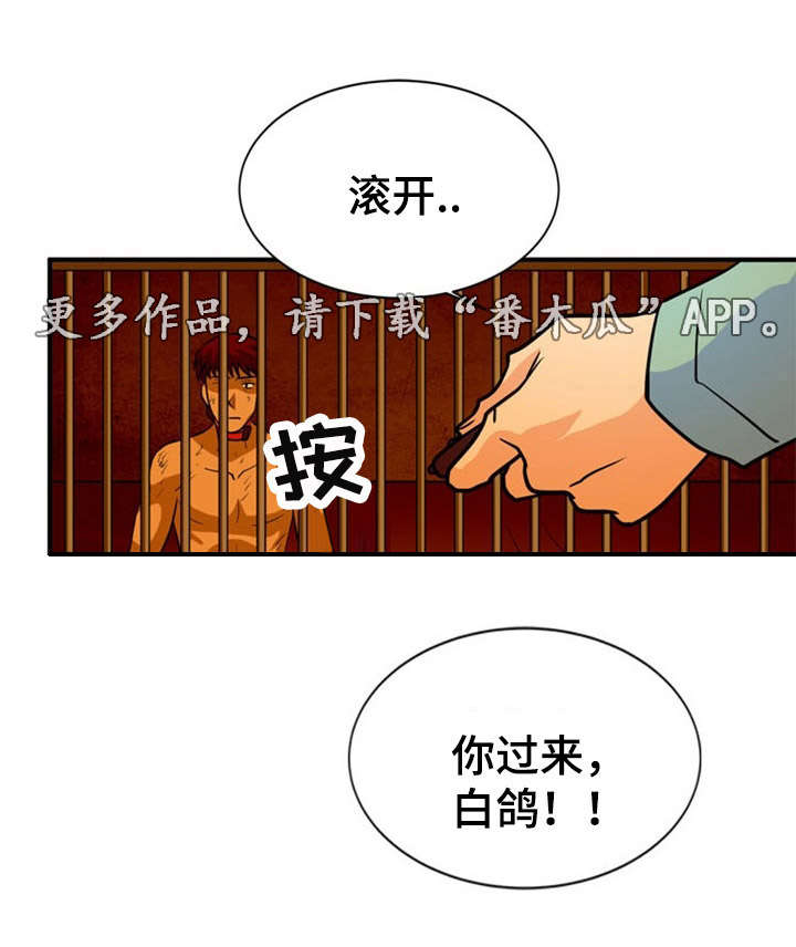 孤岛飞鹰40集电视连续剧漫画,第24章：建议2图