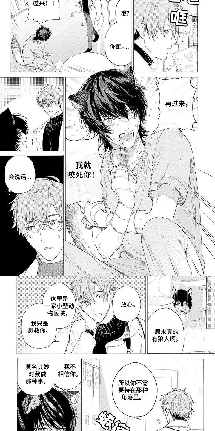 服从吧狼少年漫画,第2章：再次光临2图