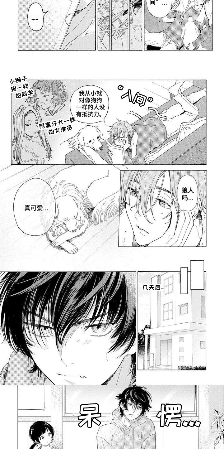 服从吧狼少年漫画,第2章：再次光临2图