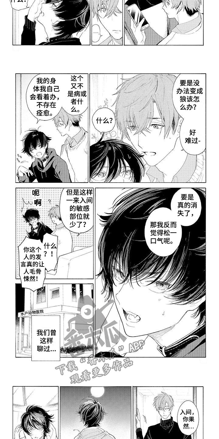 服从吧狼少年啵乐漫画,第13章：住下的理由1图