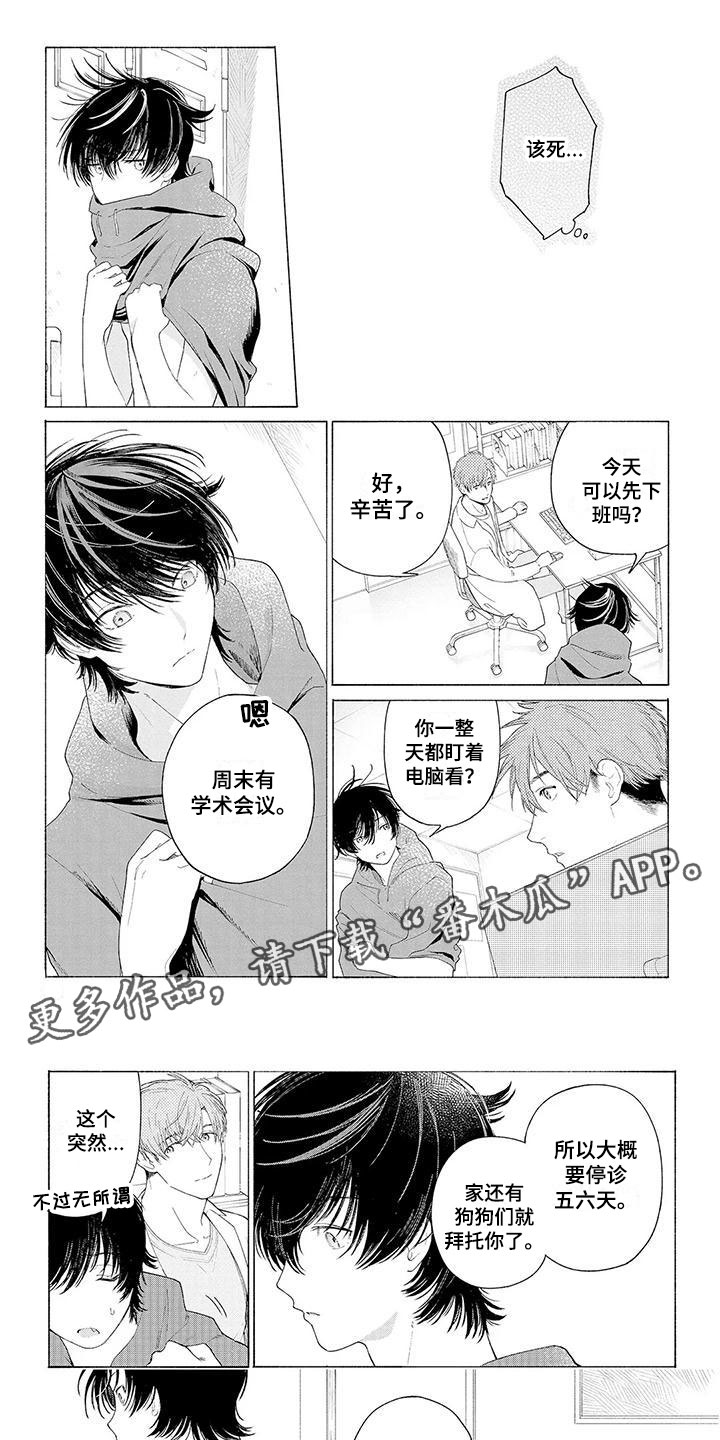 服从吧狼少年漫画,第6章：坐下1图