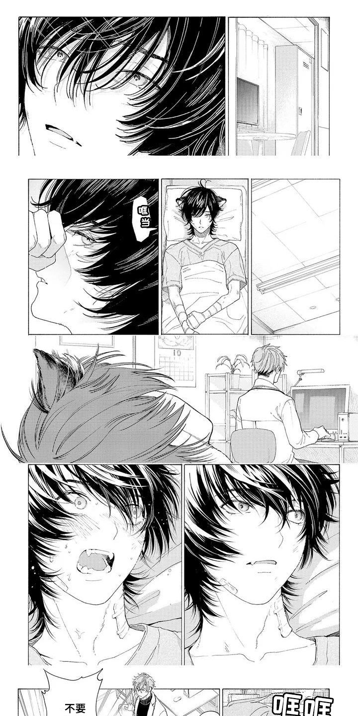 服从吧狼少年漫画,第2章：再次光临1图