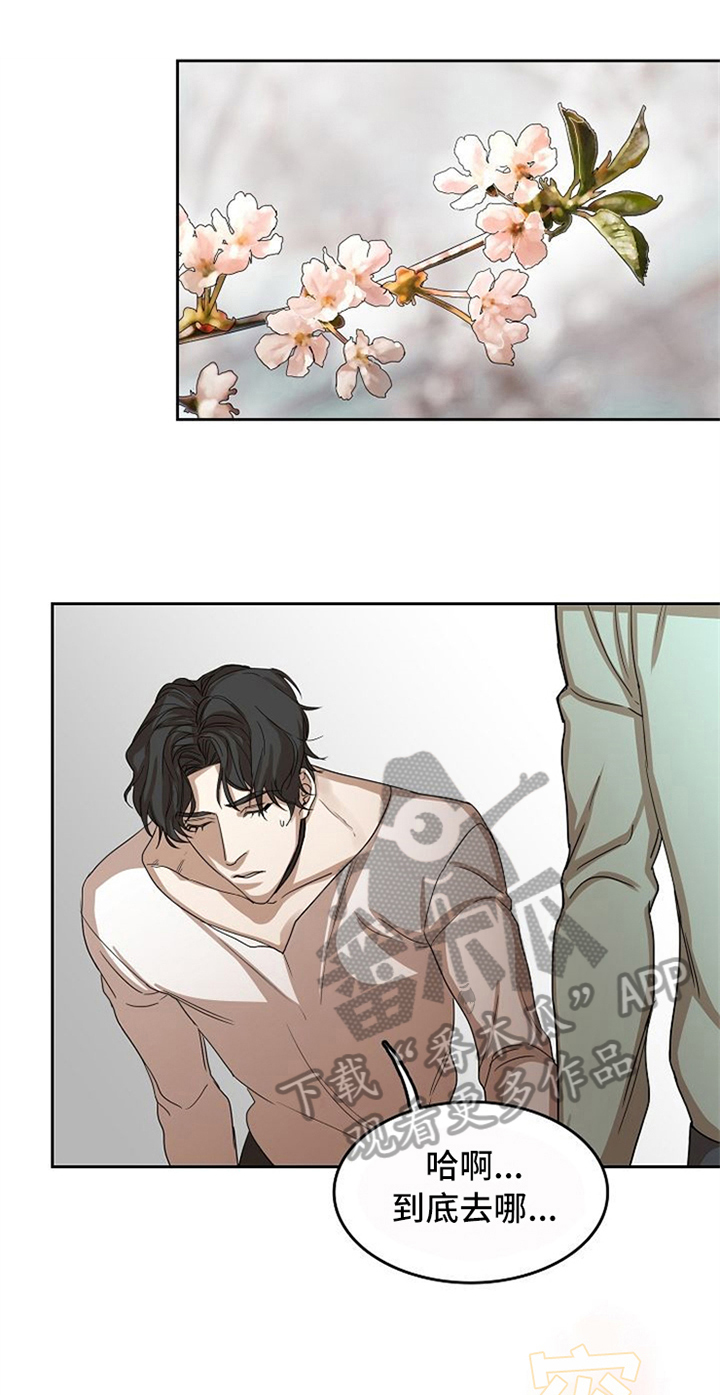 愈合的耳洞还能再打吗漫画,第29章：不在意2图