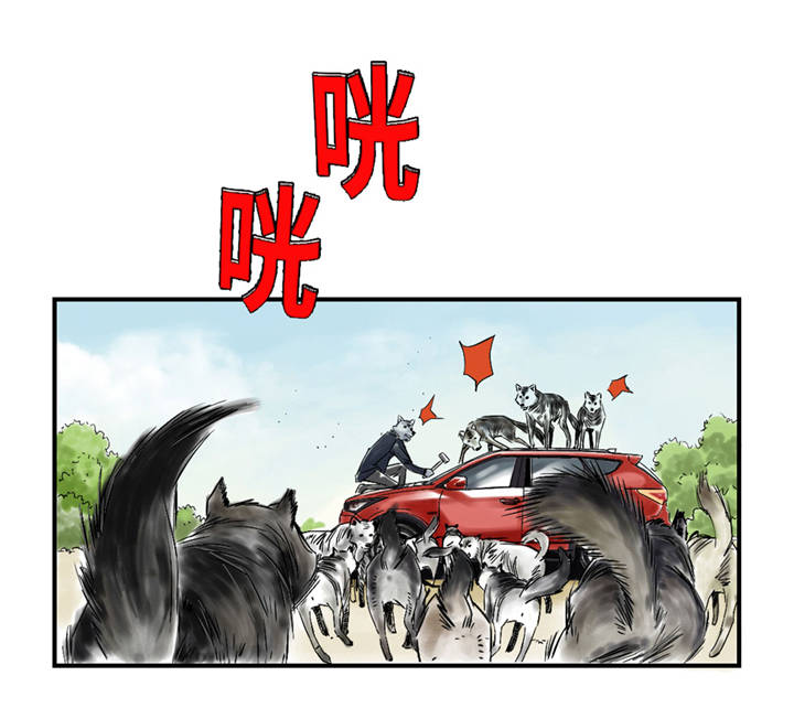 都市沉浮漫画,第37章：赌上警察生涯2图