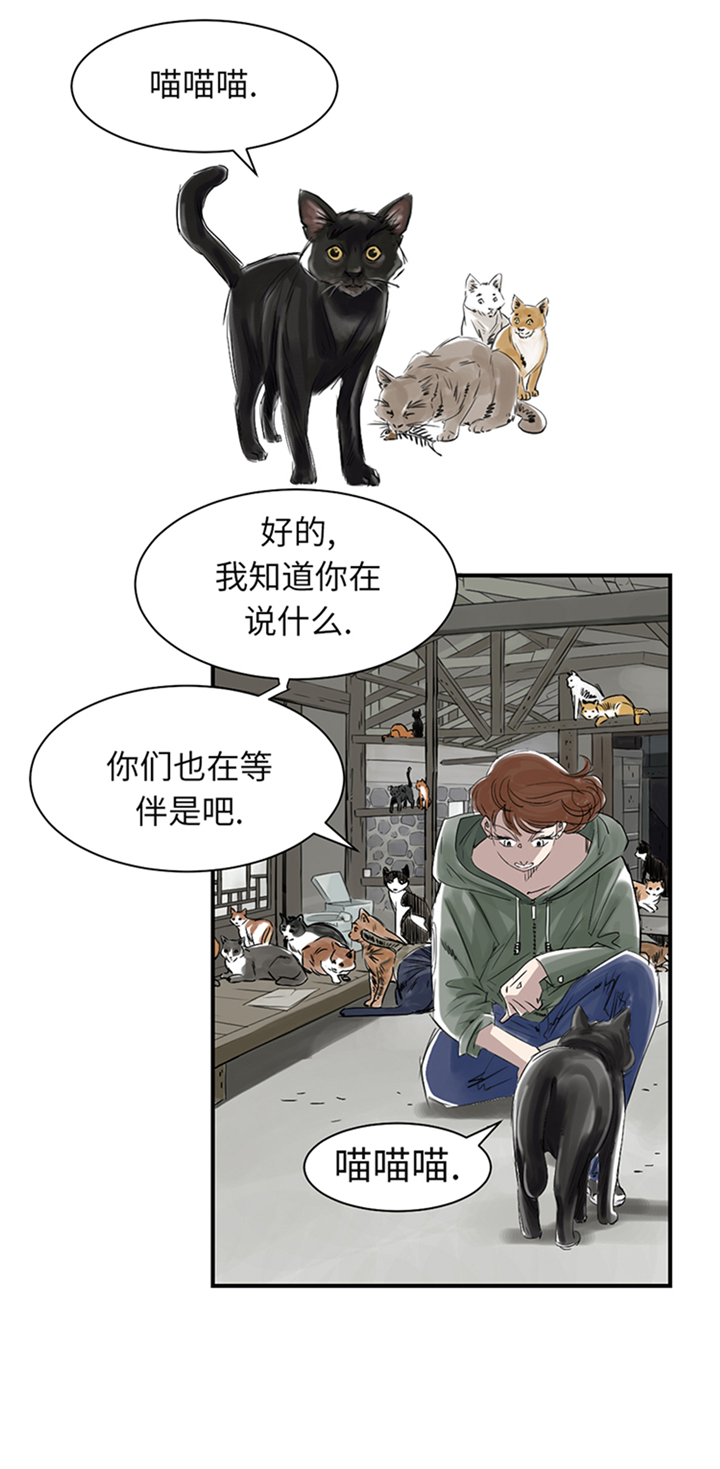 都市宠兽类小说漫画,第78章：刺杀行动2图