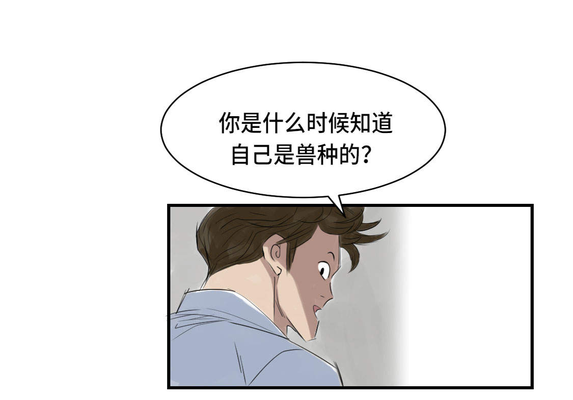 都市兽类系统小说漫画,第5章：兽种 伴（二）1图