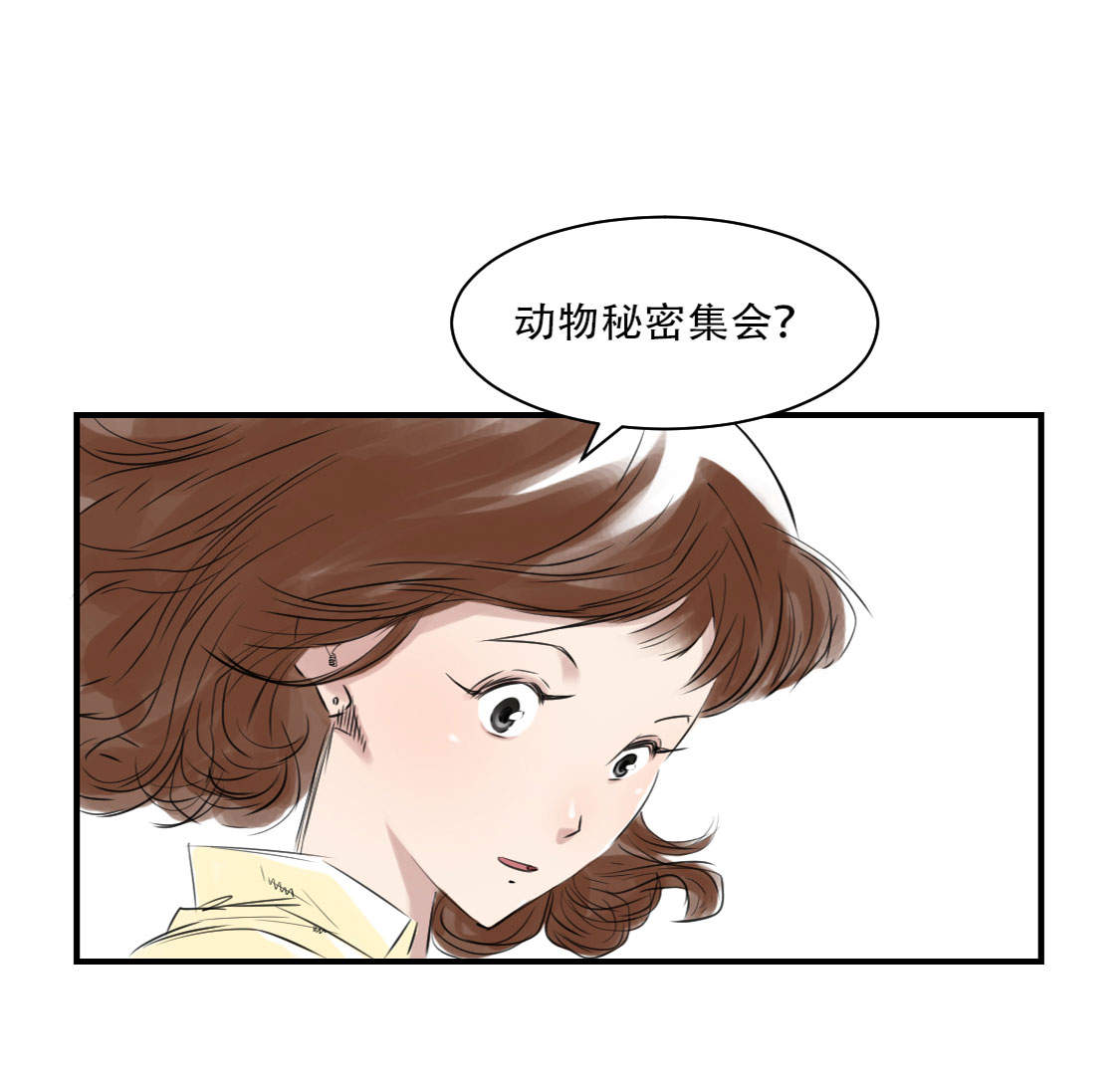 都市绝品仙帝漫画,第10章：消失的动物2图