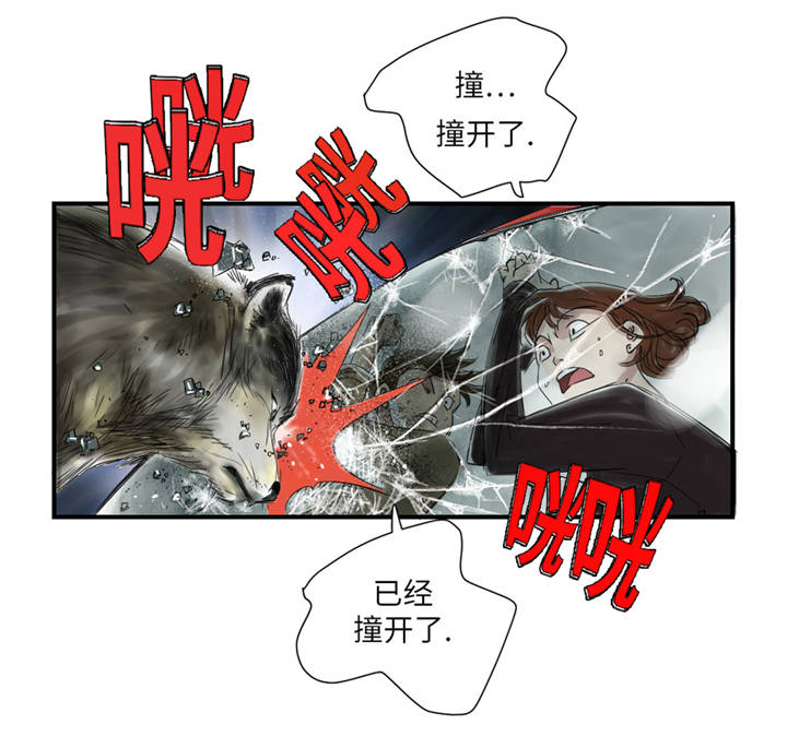 都市沉浮漫画,第37章：赌上警察生涯1图