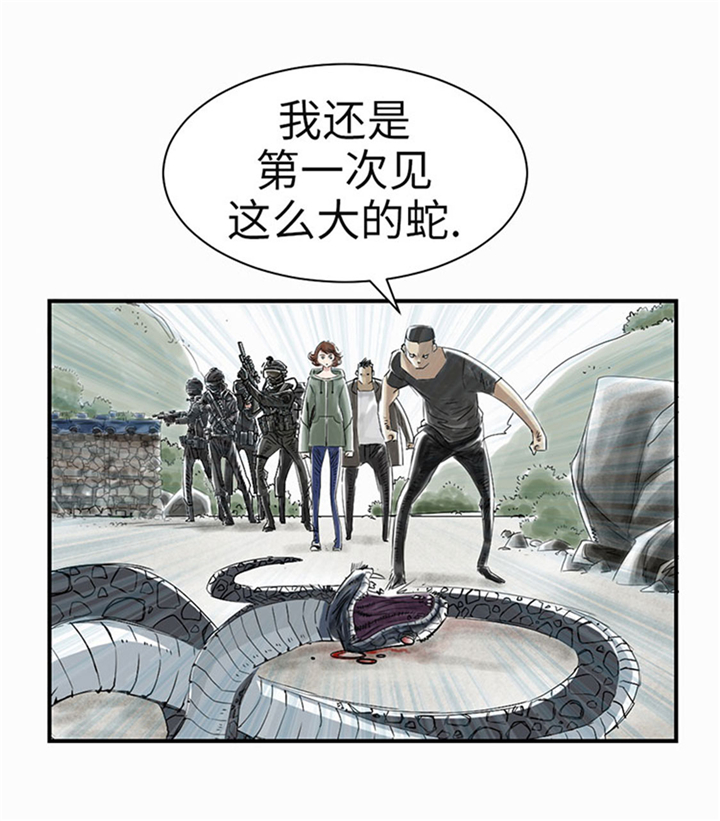 都市宠兽小说漫画,第65章：好大一条蛇2图