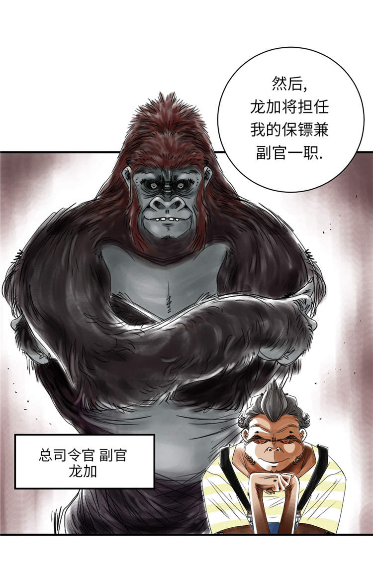 都市宠兽类小说漫画,第38章：炊事兵2图