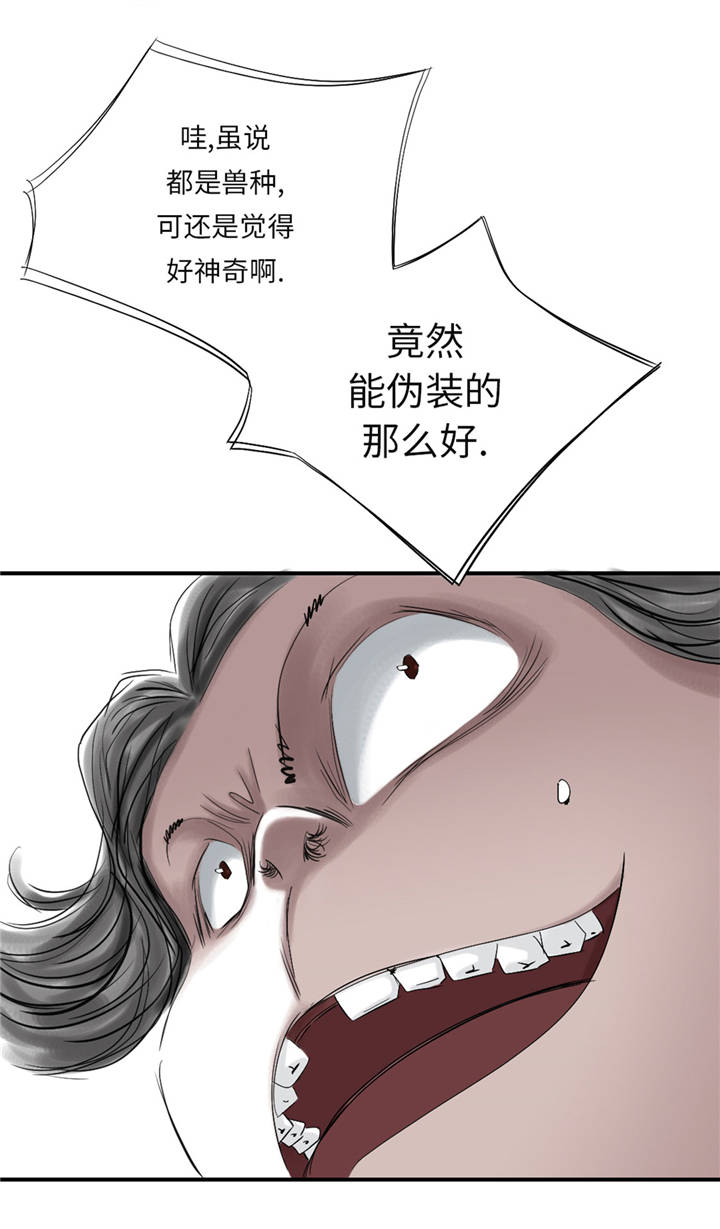 都市沉浮漫画,第37章：赌上警察生涯1图