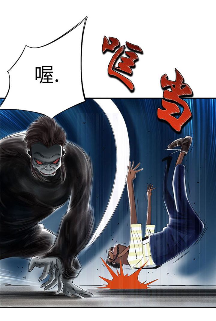 都市之兽医漫画,第62章：留言2图