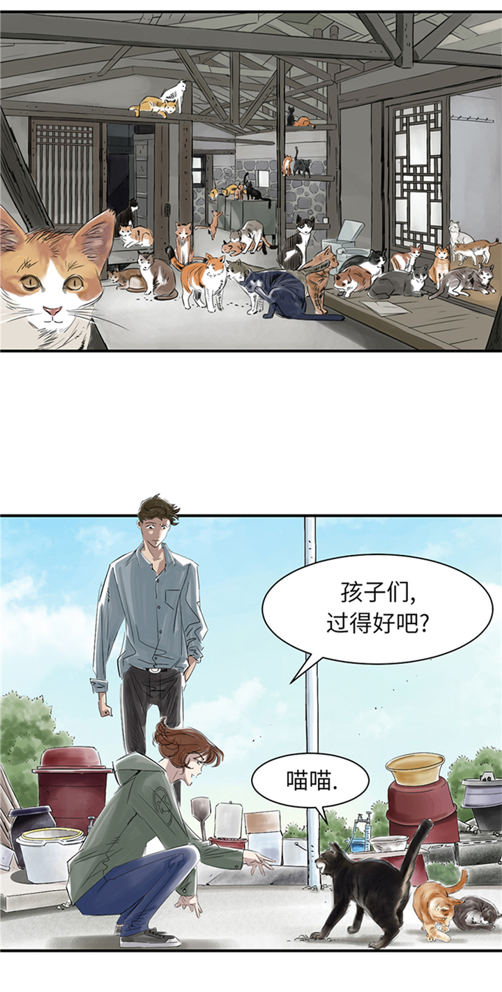 都市宠兽类小说漫画,第78章：刺杀行动1图