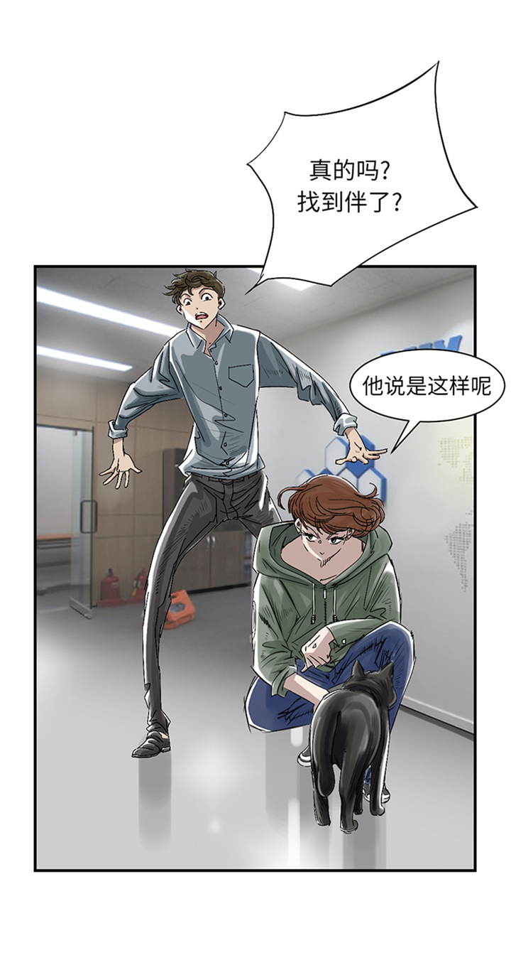 都市兽医行医玩美一级小说漫画,第86章：去哪儿了!2图