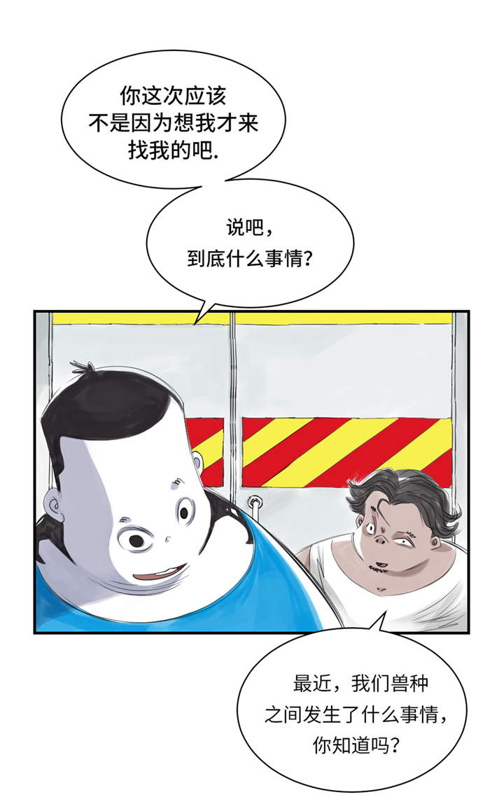 都市兽宠系统小说排行榜漫画,第26章：小猎犬1图