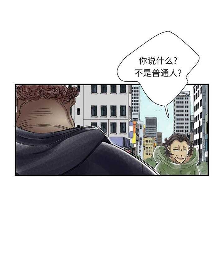 都市兽种免费阅读漫画,第80章：越线2图