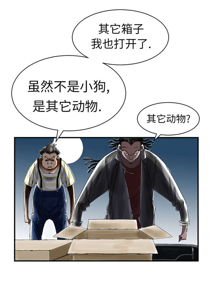 种夫都市攻略漫画,第52章： 惹恼了2图